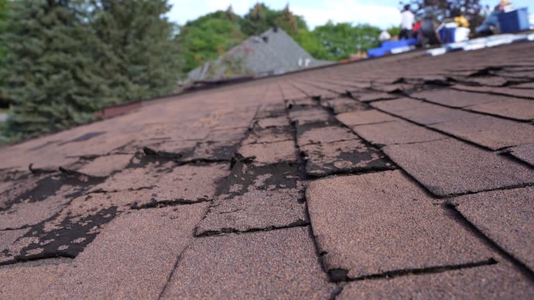 Fast & Reliable Emergency Roof Repairs in Kalkaska, MI